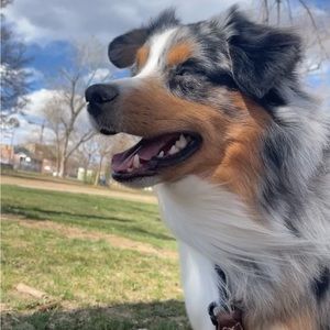 Meet your Posher, Reagan